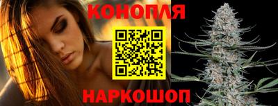 гидропоника Пенза