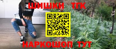 гидропоника Пенза